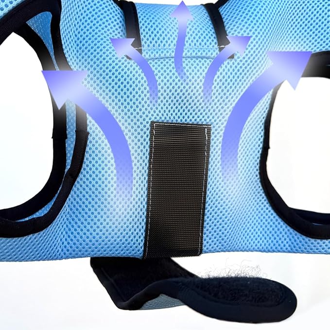 PawsUp Pet Grooming Hammock Kit for Large Dogs, 4-in-1 Professional Grooming Sling for Nail Trimming, Includes Heavy Duty Clipper, Nail File, and Steel Comb – Blue