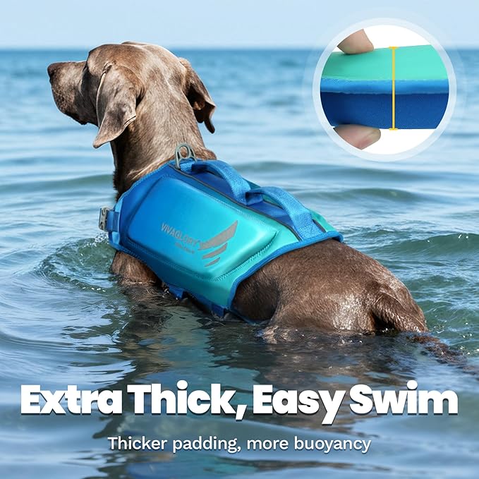 VIVAGLORY High Buoyancy Dog Life Vest, Swimming Vest with Handle, Dog Life Jacket for Swimming & Boating, Buoyancy for Puppy Doggy, L, Turquoise