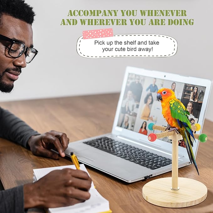 3 Pcs Bird Training Stand Kit, Parrot Training Clicker Portable Tabletop Bird Perch and Target Stick, Wooden Spin Perch Clickers with Wrist Strap for Parakeet Conure Lovebird Cockatiel (Spin)