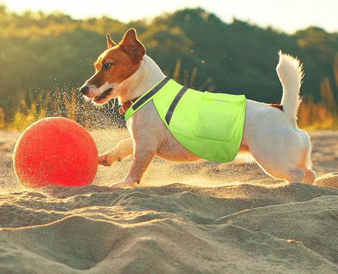 Aliceset 2 Pcs Dog Cooling Vest with 4 Recyclable Ice Pack Summer Outdoor Dog Cooling Harness Shirt Adjustable Pet Cooler(Fluorescent Green,Medium)