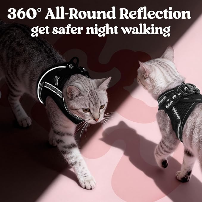 rabbitgoo Cat Harness and Leash, Step-in Escape Proof Kitten Harness Set, Soft Comfortable Cat Vest, Easy to Wear and Adjust, Reflective for Safe Outdoor Walking, Black, Medium