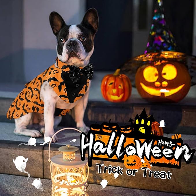Kuoser Dog Tuxedo Suit and Bandana Set, Bat Pumpkin Print Dogs Halloween Outfit Adjustable Dog Halloween Costume with Bow Tie for Large Medium Small Dogs Golden Retriever Samo Bulldogs, Orange 2XL