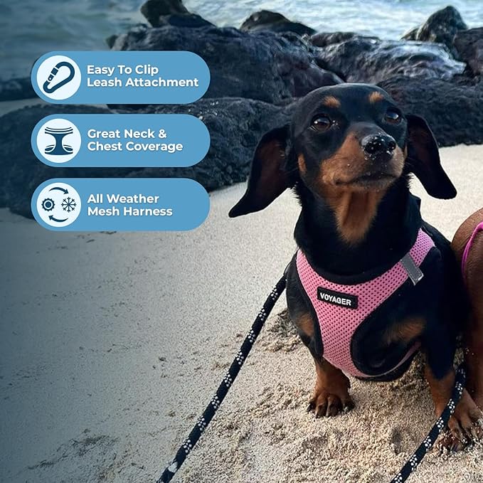 Best Pet Supplies - All Weather Mesh / Plush, Reflective, No Pull Harness for Small, Medium Dogs, Cats - Secure with Hook & Loop Fastener, Buckle, Double D-Rings - Pink/Black Trim, XL