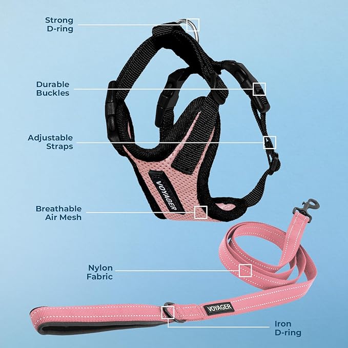 Best Pet Supplies Voyager Step-in Lock Pet Harness w Reflective Pet Leash Combo Set with Neoprene Handle 5ft - Supports Small, Medium and Large Breed Puppies/Cats - Pink/Black Trim, M