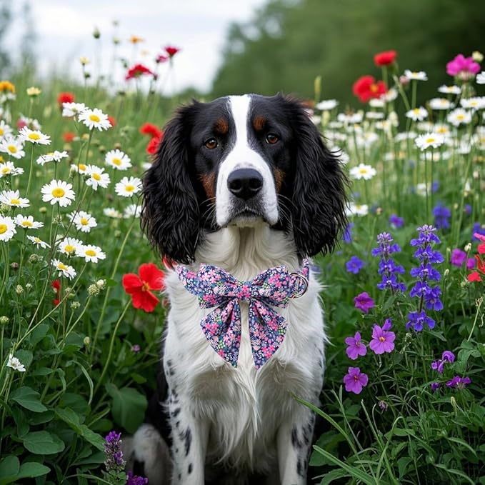 Lionet Paws Floral Dog Collar with Sailor Bow, Spring Wildflowers Daisy Fleabane Dog Collar Bow Tie for Large Dogs, Neck 16-24 inches