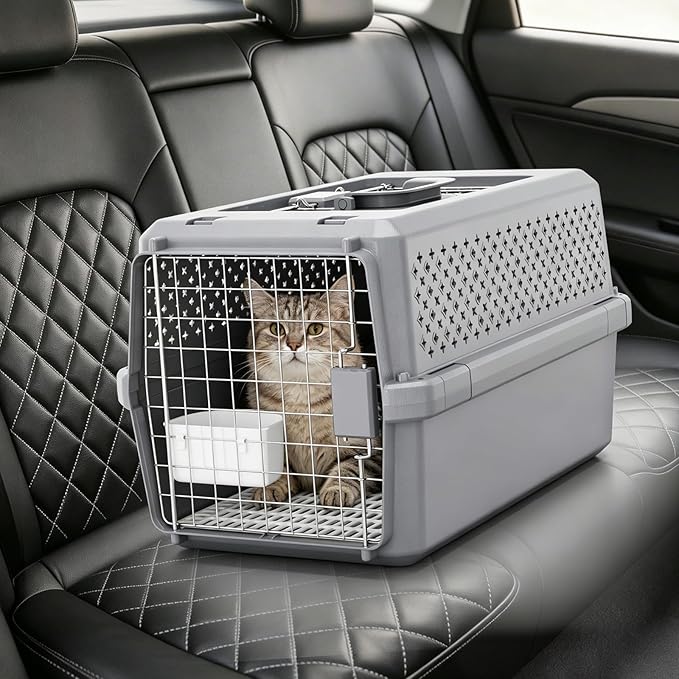 RIZZARI Pets Spree Hard-Sided Pet Travel Carrier, Portable Crate for Medium Dogs and Cats, Durable Plastic Carrier with Metal Door and Ventilation, Ideal for Air Travel, Trips and Outdoor Use