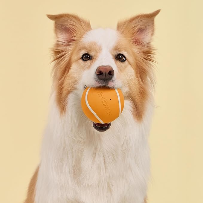 Playology Dog Toys | Squeaky Chew Ball for Large Dogs | Cheddar Cheese Scented Jumbo Dog Ball | Bouncy Floating Chew Toys for Fetch