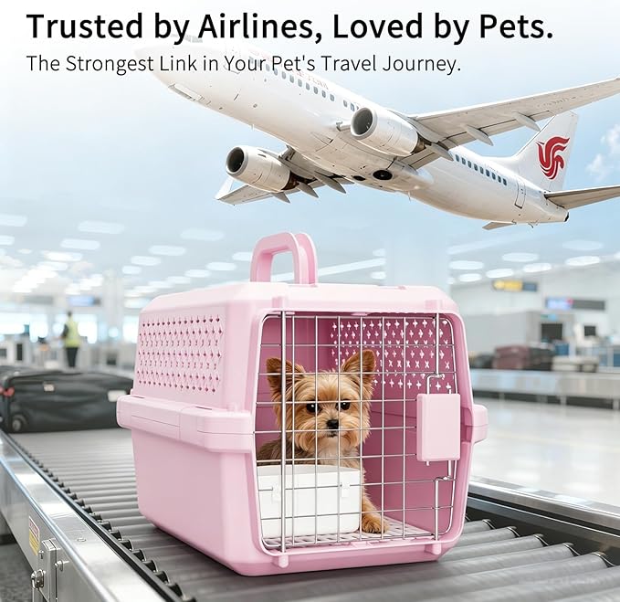 RIZZARI Small Hard Sided Pet Carrier, Ventilated Plastic Travel Crate with Metal Door and Top Handle for Small Dogs and Cats, Pink Small, Ideal for Car Travel Vet Visits and Daily Use