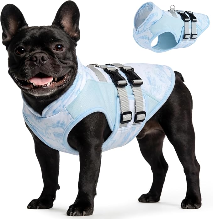 DORA BRIDAL Dog Cooling Vest for Summer, Lightweight Breathable Mesh Cooling Jacket with Harness, Soft Pet Cooler Shirt for Frenchie, UV Protection for Beach Hiking Walking -L, Blue