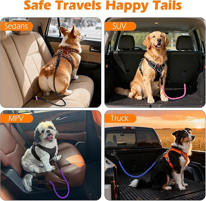 PetBonus Dog Seat Belt for Car, Durable Rope Dog Car Harness Seatbelt for Vehicle, Pet Tether Safety Restraint with Heavy Duty Buckle Hook Latch Lockable Clip for Small Medium Large Breeds(Light Blue)