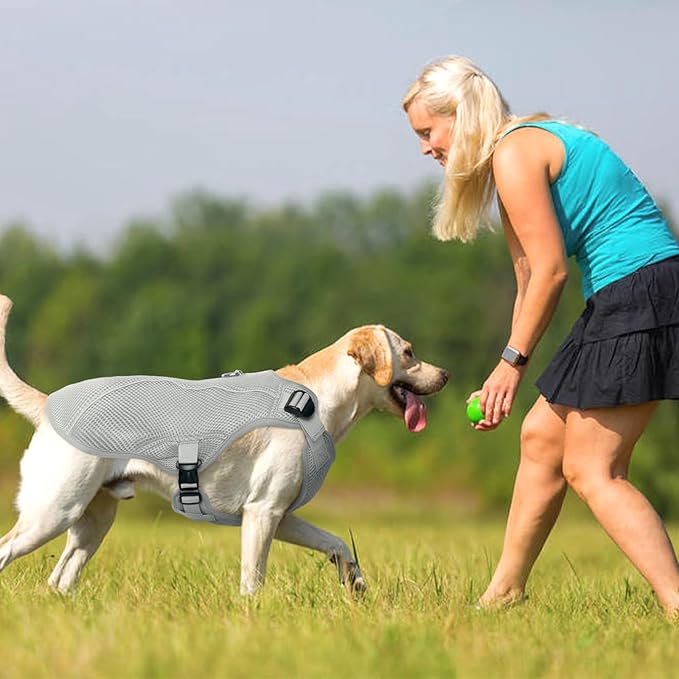 Kuoser Dog Cooling Vest for Large Dogs, Lightweight Dog Cooler Jacket Breathable Mesh Dog Cooling Shirts Reflective Dog Cooling Harness for Beach, Hiking, Walking Grey XL