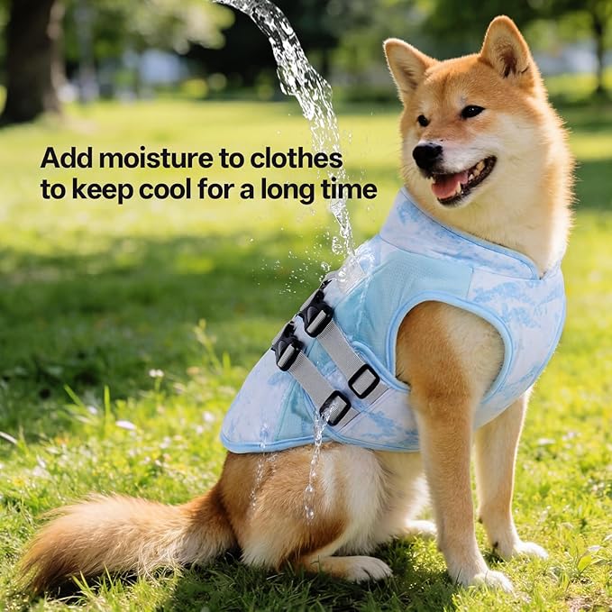 DORA BRIDAL Dog Cooling Vest for Summer, Lightweight Breathable Mesh Cooling Jacket with Harness, Soft Pet Cooler Shirt for Small Dogs, UV Protection for Beach Hiking Walking -S, Blue