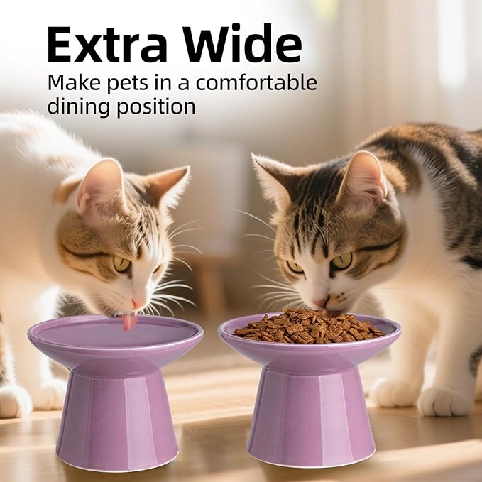 6.2 Inch Extra Wide Elevated Ceramic Cat Bowls, Food and Water Bowl Set for Elder Big Cats Small Dogs, Raised Design for Pet Easy Eating, Protect Cat's Spine Set of 1(Dark Purple)