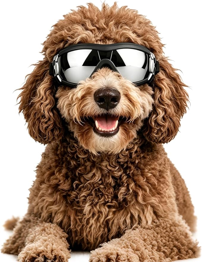 LESYPET Dog Goggles Large Breed, UV Wind Dust Protection Large Dog Sunglasses Eye Protection, Eye Wear Pet Glasses with Adjustable Strap for Outdoor Riding, L