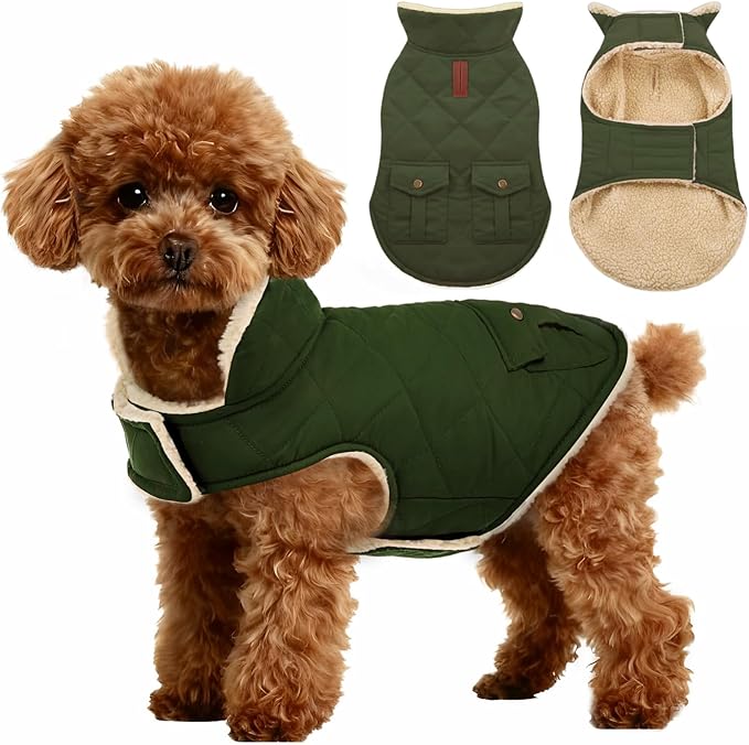 ASENKU Warm Dog Winter Coat, Waterproof Dog Coat for Cold Weather, Fleece Dogs Jacket with Ultra Thick Plush Lining Leash Hole Storage Pockets for Large Dogs (Green, X-Large)