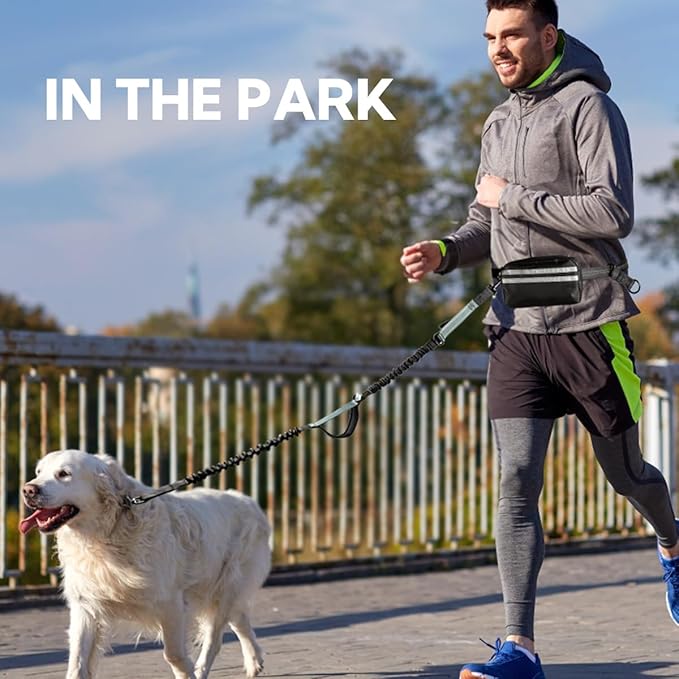 Hands Free Dog Leash, Double Dog Leash with Waist Bag, Double Padded Handles, Dog Walking Running Accessory, (Large, 26-120 lbs)