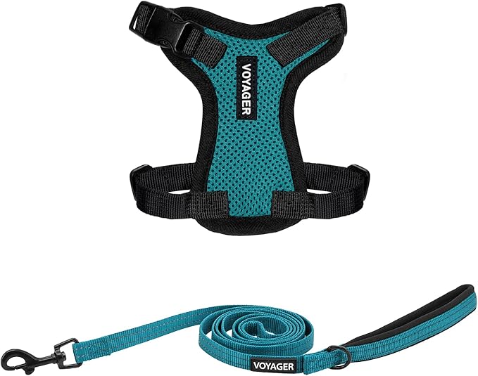 Best Pet Supplies Voyager Step-in Lock Pet Harness w Reflective Pet Leash Combo Set with Neoprene Handle 5ft - Supports Small, Medium and Large Breed Puppies/Cats - Turquoise/Black Trim, XXXS