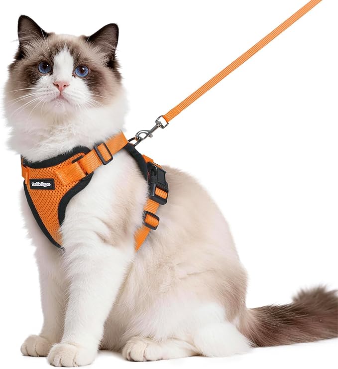 rabbitgoo Cat Harness and Leash Set, Escape Proof Vest Harness for Safe Outdoor Walks, Soft Breathable Adjustable Vest with Reflective Strips for Average to Large Cats, Orange, M