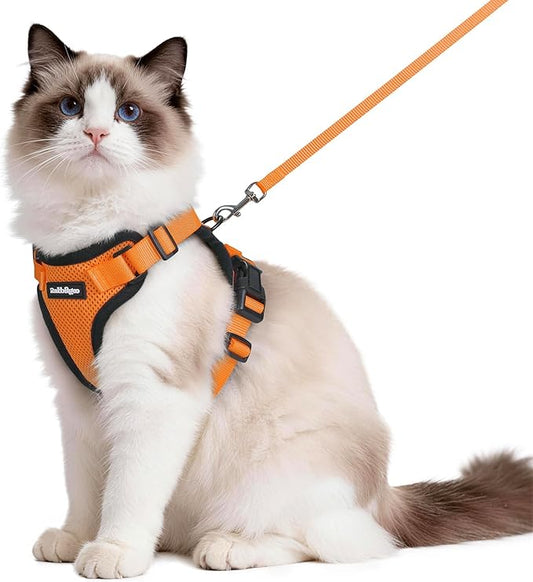 rabbitgoo Cat Harness and Leash Set, Escape Proof Vest Harness for Safe Outdoor Walks, Soft Breathable Adjustable Vest with Reflective Strips for Average to Large Cats, Orange, M