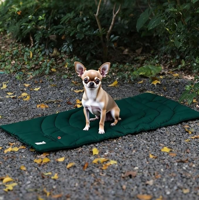 Travel Dog Bed | Camping Dog Bed | 37.4"x25.6" Waterproof Outdoor Dog Mat | Portable Place Mat for Dogs with Handle | Machine Washable | Easy Clean for Outdoor Adventures (Yellow, Medium)