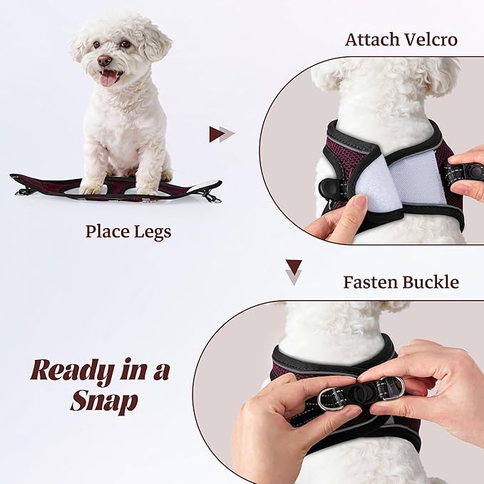 YIMEIS Dog Harness and Leash Set, No Pull Soft Mesh Pet Harness, Reflective Adjustable Puppy Vest for Small Medium Large Dogs, Cats (Grape Purple, X-Small (Pack of 1)