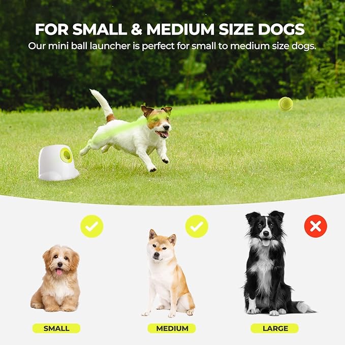 AFP Automatic Ball Launcher for Dogs, USB Rechargeable Interactive Dog Ball Thrower Machine, Auto Fetch Launcher for Small&Medium Dogs, Indoor Outdoor Puppy Play Toy, 3 Tennis Balls Included (2 Inch)