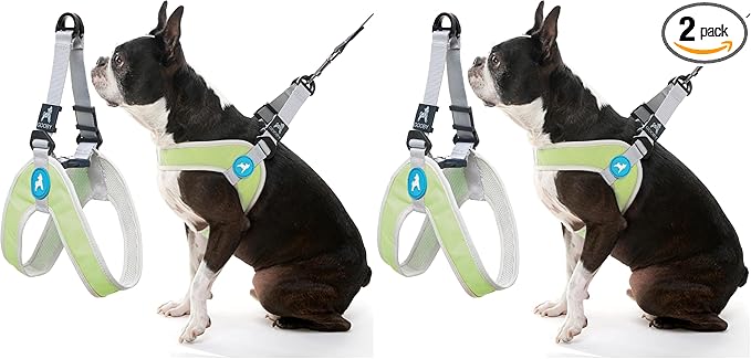 Gooby Simple Step in III Harness - Green, X-Small - Small Dog Harness with Scratch Resistant Outer Vest - Soft Inner Mesh Harness for Small, Medium Dogs (Pack of 2)