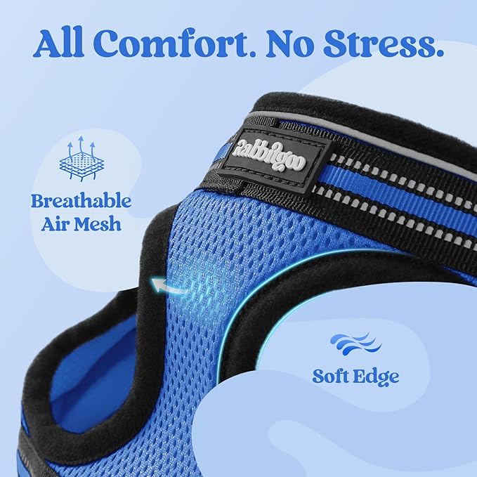 rabbitgoo Cat Harness and Leash, Step-in Escape Proof Kitten Harness Set, Soft Comfortable Cat Vest, Easy to Wear and Adjust, Reflective for Safe Outdoor Walking, Blue, Large