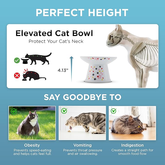 Necoichi Elevated Cat Food Bowl, Ceramic (Porcelain), Whisker-Friendly, Dishwasher & Microwave Safe, Non-Slip Silicone Base, Anti-Vomiting & Neck Fatigue (Sakura Floral, Extra Wide, 2-Cups Capacity)