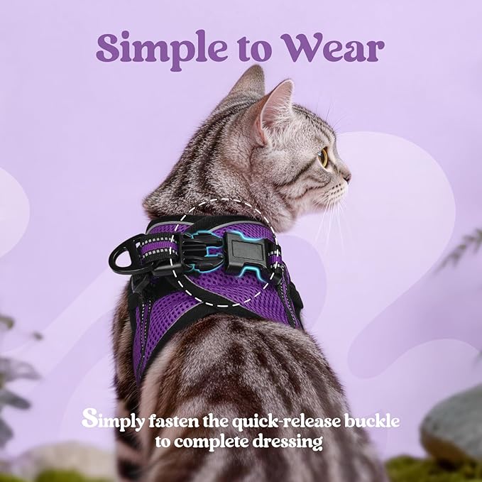 rabbitgoo Cat Harness and Leash, Step-in Escape Proof Kitten Harness Set, Soft Comfortable Cat Vest, Easy to Wear and Adjust, Reflective for Safe Outdoor Walking, Purple, Small