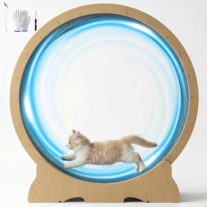 Cat Exercise Wheel, 48 Inch Diameter Cat Treadmill for Indoor Cats, Cats Running Wheel with Updated Enhanced Base and Carpeted Runway for Cat's Longer Life and Fitness, Natural