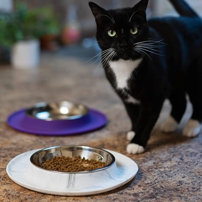 Messy Cats Single Silicone Feeder with Stainless Saucer Shaped Bowl | Anti-Slip Non-Skid Cat Food Bowl | One Cat Bowl in Feeding/Water Station | 1.75 Cups (Marble)