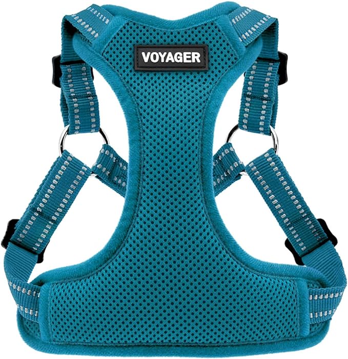 Best Pet Supplies Voyager Adjustable Step-in Flex Breathable Mesh Dog Harness for Small Medium Large Dogs (Turquoise), XS