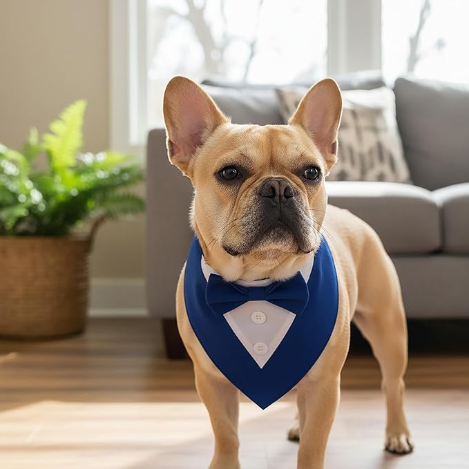 ADOGGYGO Blue Dog Tuxedo Bandana, Formal Wedding Bow Tie Collar, Adjustable Birthday Wedding Costume for Small Dogs (S)