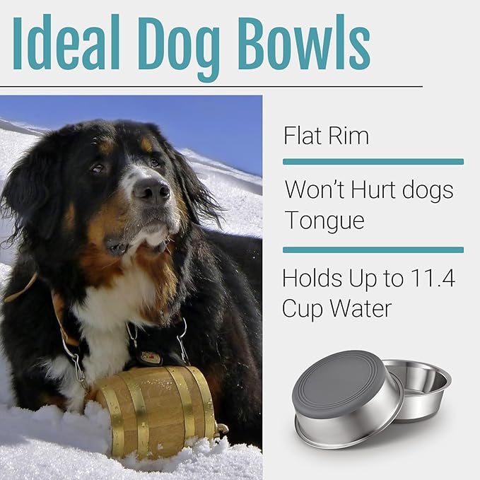 PEGGY11 Nonslip Stainless Steel Dog Bowls, 11.4 US Cup, 2 Count