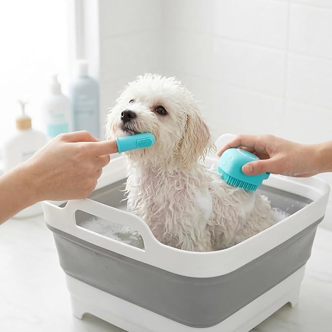 Collapsible Cat Puppy Bath Tub: Portable Small Dog Bathtub, Shampoo Brush & Toothbrush Set - Pet Shower Tub for Chihuahua, Yorkie, Pomeranian, Bichon, Maltese, Shih Tzu, Toy Poodle & Boston Bathing