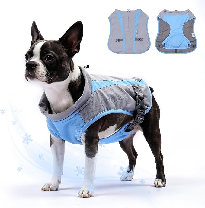 Mora Pets Dog Cooling Vest for Summer Lightweight Breathable UPF 50 Sun Protection Evaporative Cooling Adjustable Fit with Hidden Leash Access for Small Medium Large Dogs Light Gray Blue S