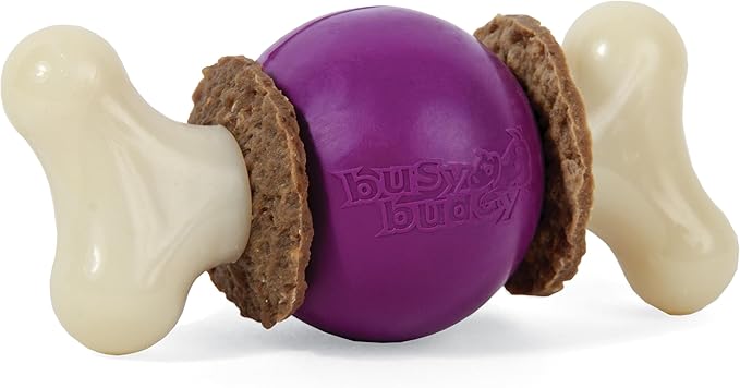 PetSafe Busy Buddy Bouncy Bone, Treat Holding Dog Toy, Medium, Best for Dogs 10-50 Lb.