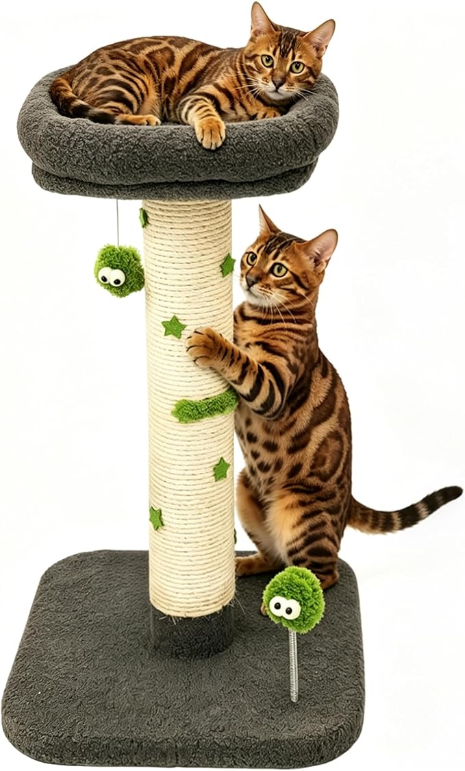 TinyBeast 29.5" Cat Tower with Scratching Post, 4-in-1 Natural Sisal Cat Scratcher with Removable Plush Perch Bed, Cat Stand Featuring Dangling Ball & Spring Ball, Cat Tree Tower for Indoor Adult Cats
