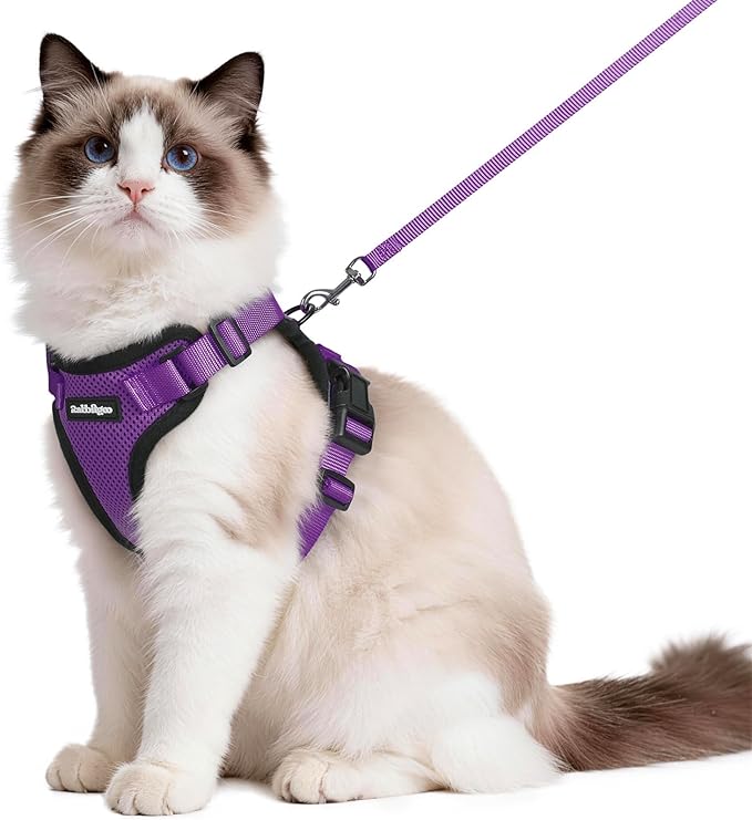 rabbitgoo Cat Harness and Leash Set, Escape Proof Vest Harness for Safe Outdoor Walks, Soft Breathable Adjustable Vest with Reflective Strips for Average to Large Cats, Purple, M