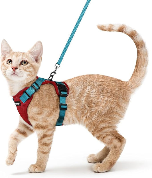 rabbitgoo Cat Harness and Leash Set, Escape Proof Vest Harness for Safe Outdoor Walks, Soft Breathable Adjustable Vest with Reflective Strips for Small and Average Cats, Red & Teal, S