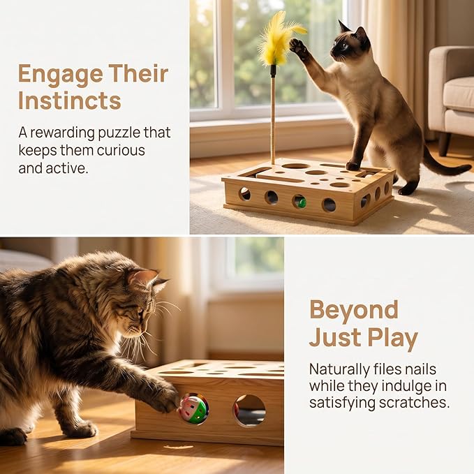 2026 New Cat Nail File Box, Cat Scratch Puzzle Enrichment Box with 1 Interactive Wand Toy & 3 Bell Balls, Cat Puzzle Feeder Scratch Puzzle Toy Gift for Indoor Cats, Trimming Nails