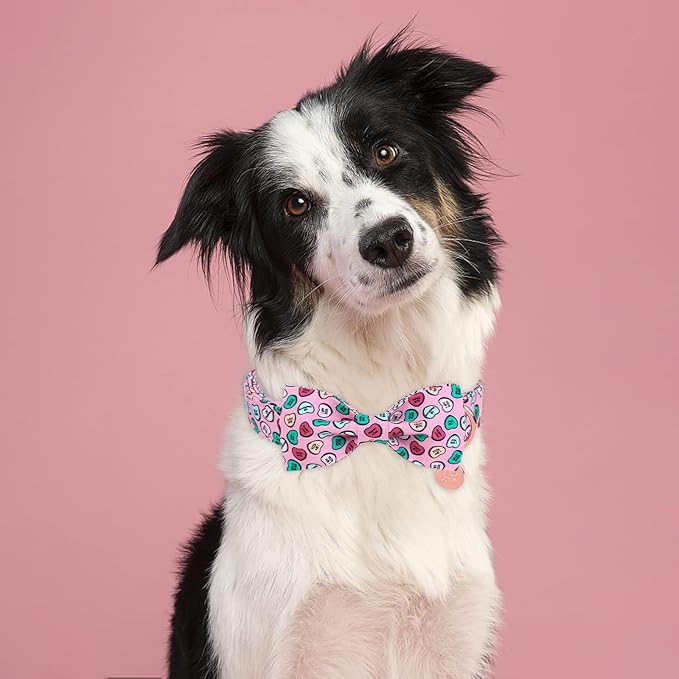Valentine Dog Collar with Bow Tie, Pink Cotton Collar with Metal Buckle, XS, Neck 8-12in