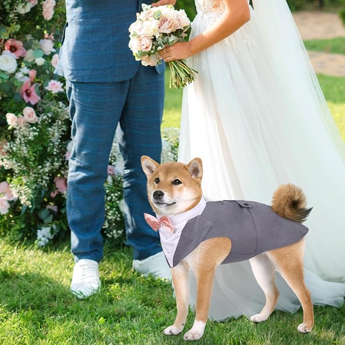 DORA BRIDAL Dog Tuxedo for Large Dogs, Dog Suit and Bowtie, Formal Dogs Wedding Outfit, Pet Tuxedo and Bandana Set Valentines Birthday Christmas Party Costumes for Labrador,Golden Retriever, Grey, L
