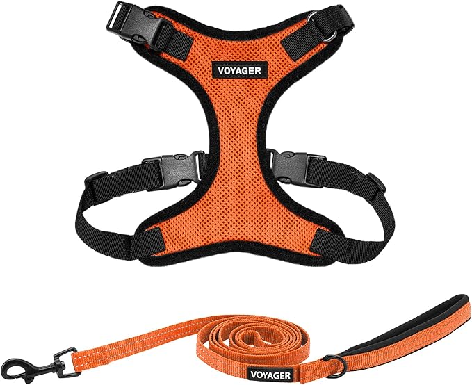 Best Pet Supplies Voyager Step-in Lock Pet Harness w Reflective Pet Leash Combo Set with Neoprene Handle 5ft - Supports Small, Medium and Large Breed Puppies/Cats - Orange/Black Trim Set, XL