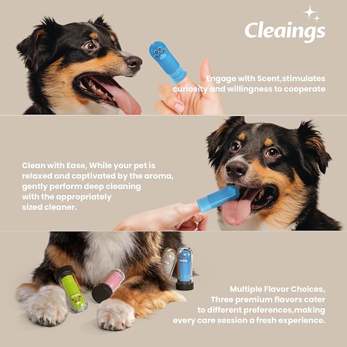 Pet Finger Toothbrush with Flavor Burst Beads, 360° Silicone Toothbrush Kit for Dogs & Cats, Deep Teeth Cleaning - 6 Pcs Beef Flavor