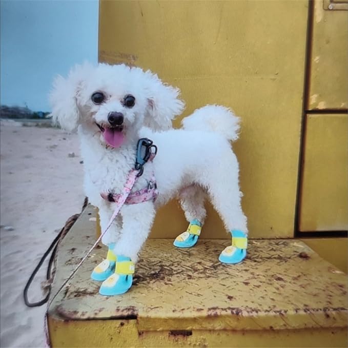 4Pcs Waterproof Egg Pattern Dog Boots Dog Shoes for Snow and Rain Teddy Pomeranian Bichon Small Dogs (Blue, Small)
