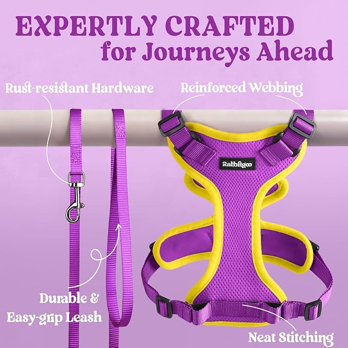 rabbitgoo Cat Harness and Leash Set, Escape Proof Kitten Harness for Safe Outdoor Walks, Soft Breathable Adjustable Vest with Reflective Strips for Kittens and Extra Small Cats, Purple & Yellow, XXS