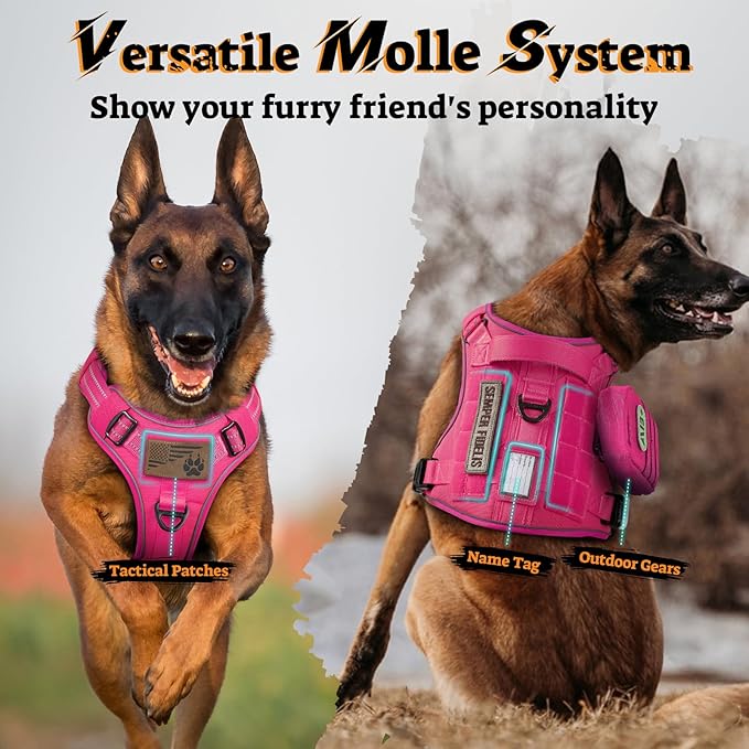 rabbitgoo Tactical Dog Harness for Large Dogs No Pull Adjustable Military Vest with Handle MOLLE Reflective Heavy Duty Dog Vest for Walking Training Hunting Outdoor Working Medium Size Dog Rose Red M