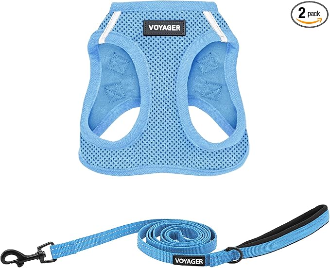 Best Pet Supplies Voyager Step-in Air All Weather Mesh Harness and Reflective Dog 5ft Leash Combo with Neoprene Handle, for Small, Medium and Large Breed Puppies - Set (Baby Blue), X-Large